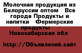 Молочная продукция из Белоруссии оптом - Все города Продукты и напитки » Фермерские продукты   . Новосибирская обл.